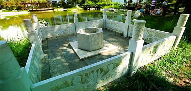 南京林業(yè)大學(xué) - 最美大學(xué)