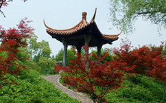 鹽城師范學院 - 我的大學