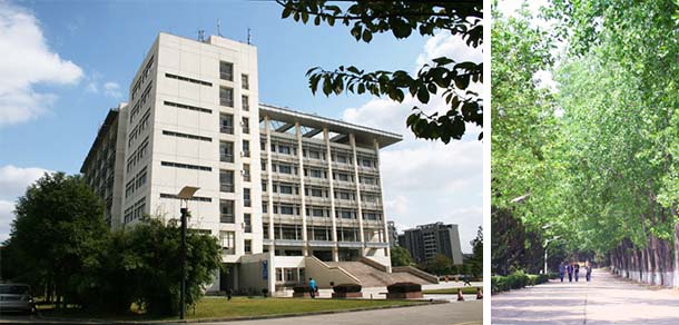 東南大學(xué)成賢學(xué)院 - 最美院校