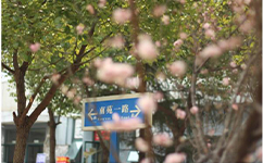 文化標(biāo)識：校名題寫 / ?；赵O(shè)計