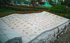 歷史沿革（概）校史