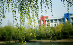 鹽城幼兒師范高等?？茖W校 - 我的大學