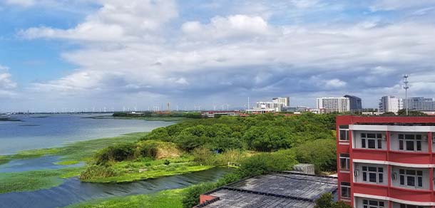 蘇州托普信息職業(yè)技術學院 - 最美院校