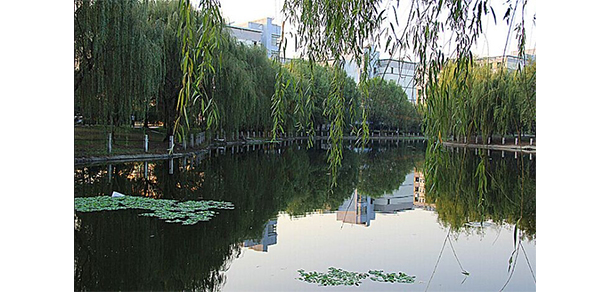 昆山登云科技職業(yè)學院 - 最美大學