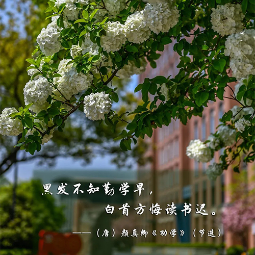 「 流金歲月 · 致青春 」