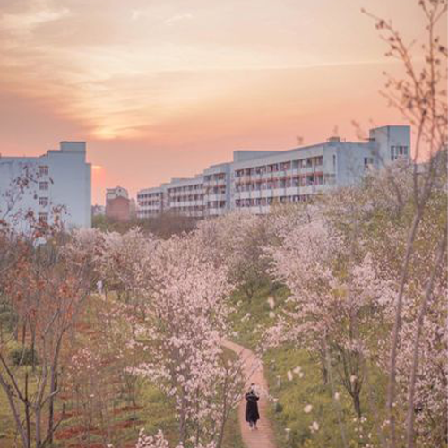 大學之志