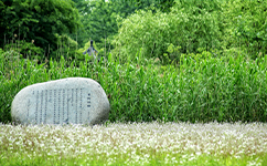 浙江工商大學(xué)