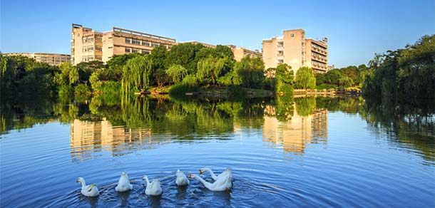 浙江財經大學 - 最美院校