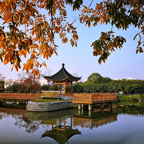 寧波財經(jīng)學(xué)院 - 我們的流金歲月