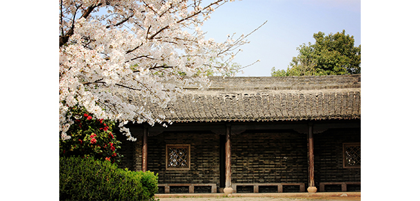 浙江工業(yè)職業(yè)技術學院
