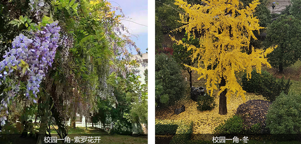 浙江金華科貿(mào)職業(yè)技術學院 - 最美大學