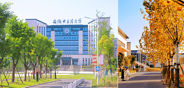 安徽中醫(yī)藥大學(xué) - 最美院校