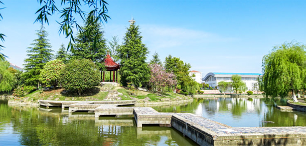 我的大學-大學志