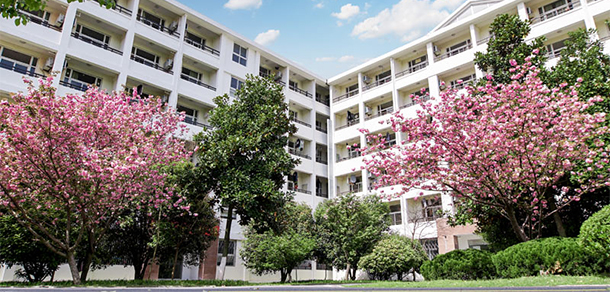 我的大學-大學志