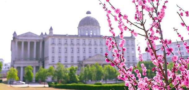 我的大學(xué)-大學(xué)志
