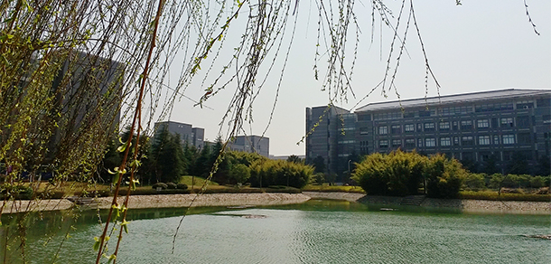 合肥經(jīng)濟(jì)學(xué)院