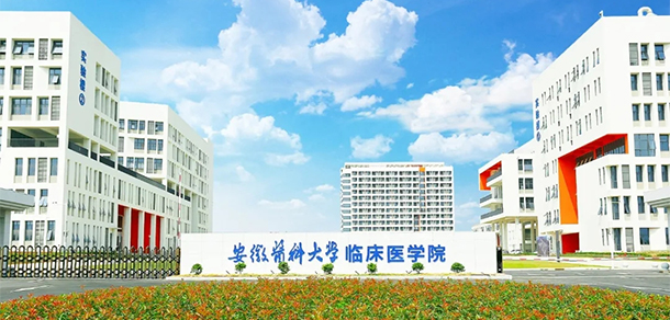 我的大學(xué)-大學(xué)志