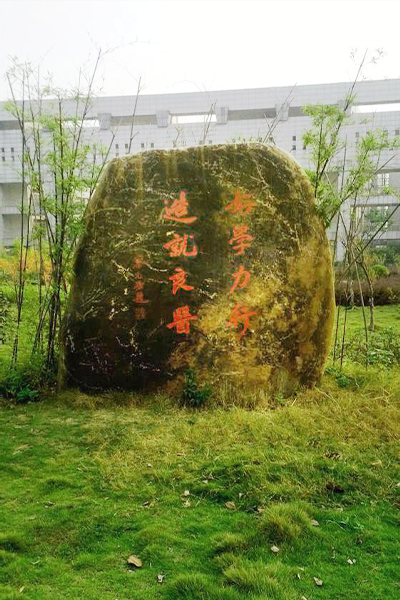 歲月流金 · 青春不散場(chǎng)