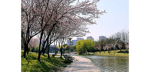 安徽工程大學(xué)