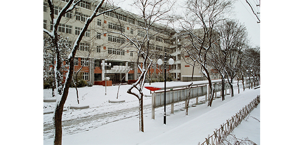 安徽農(nóng)業(yè)大學(xué) - 最美大學(xué)