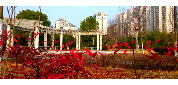 安徽醫(yī)科大學 - 最美大學
