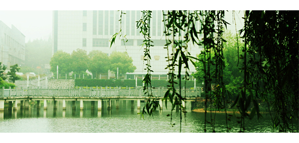 安徽醫(yī)科大學 - 最美大學