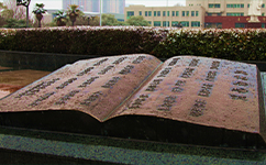 安徽醫(yī)科大學 - 我的大學