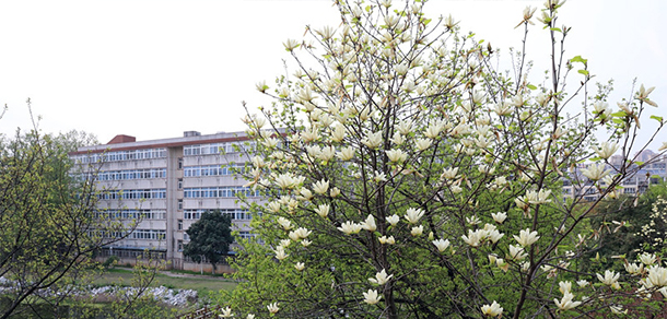 池州職業(yè)技術學院 - 最美大學