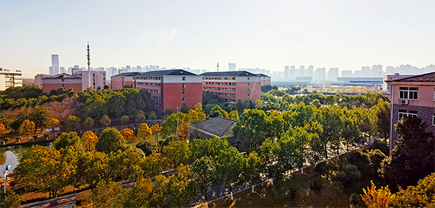 大學(xué)校志：校名、校標(biāo)、校訓(xùn)、校徽、校旗、校歌