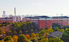歷史沿革(概)校史