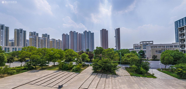 我的大學-大學志