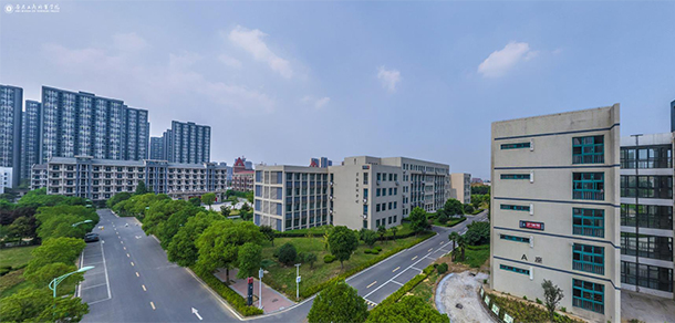 我的大學-大學志