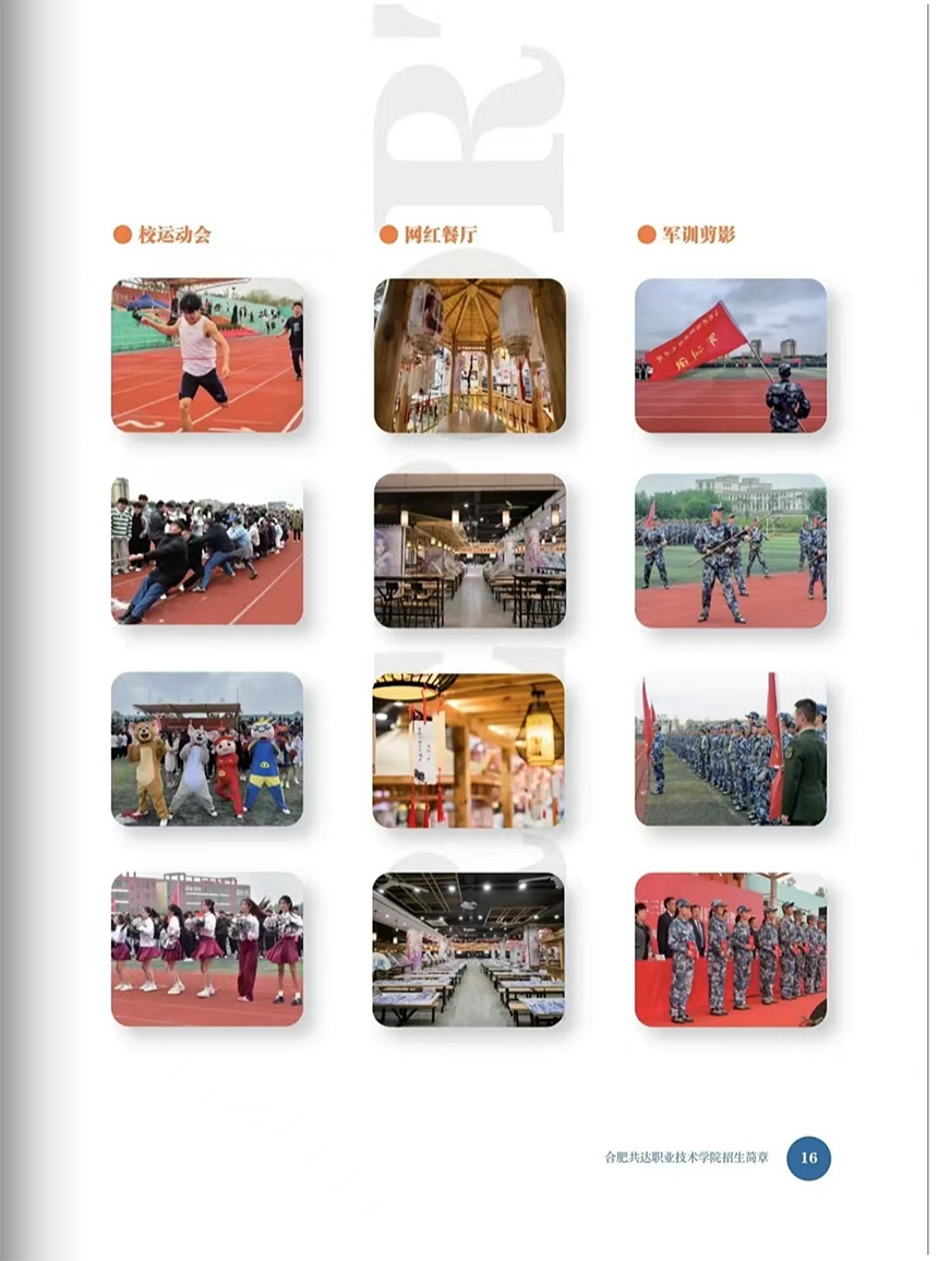 合肥共達(dá)職業(yè)技術(shù)學(xué)院－2024年分類考試招生宣傳冊