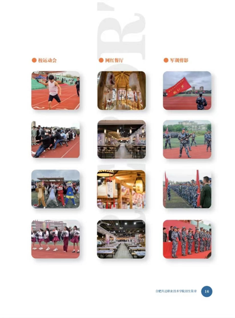 合肥共達職業(yè)技術學院－2024年秋季普通高考招生宣傳冊