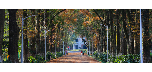 黃山職業(yè)技術學院- 最美大學