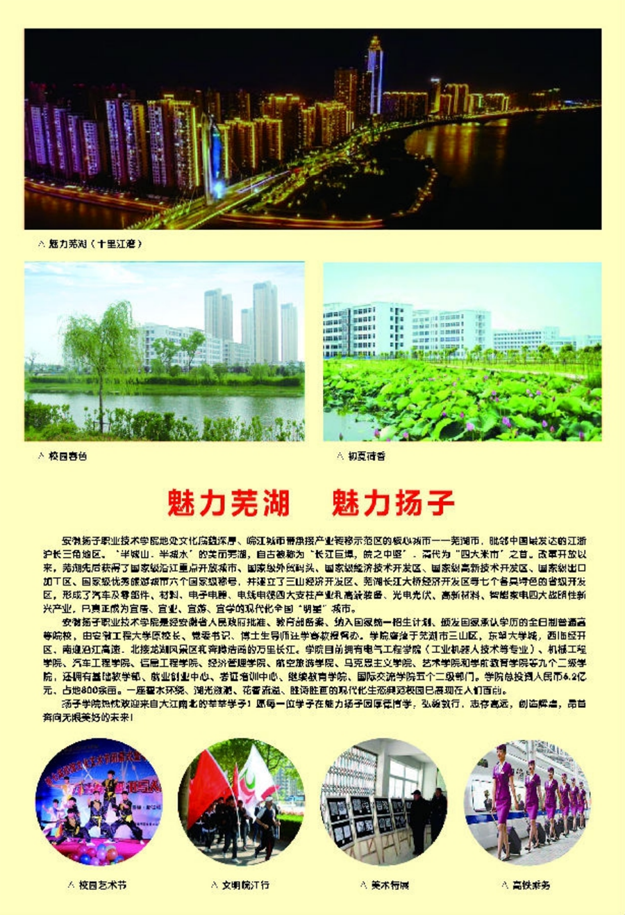 安徽揚(yáng)子職業(yè)技術(shù)學(xué)院－2020年分類考試招生簡章