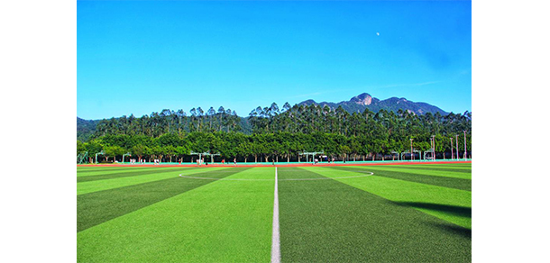 福建農(nóng)業(yè)職業(yè)技術(shù)學院 - 最美大學
