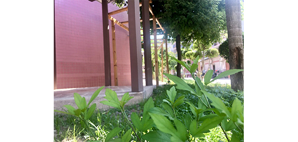 福州科技職業(yè)技術學院