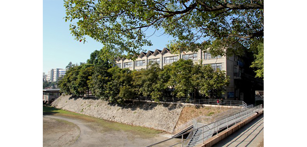 福建幼兒師范高等?？茖W(xué)校 - 最美大學(xué)