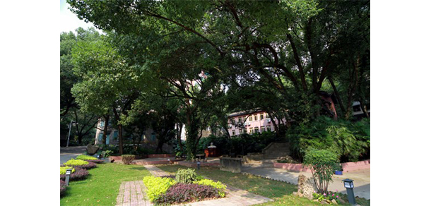 福建幼兒師范高等?？茖W(xué)校 - 最美大學(xué)