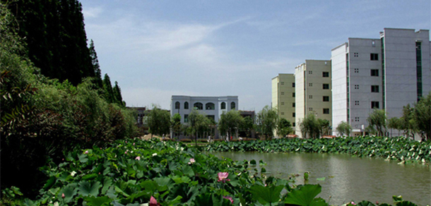南昌大學共青學院