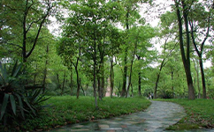景德鎮(zhèn)陶瓷大學科技藝術學院 - 我的大學