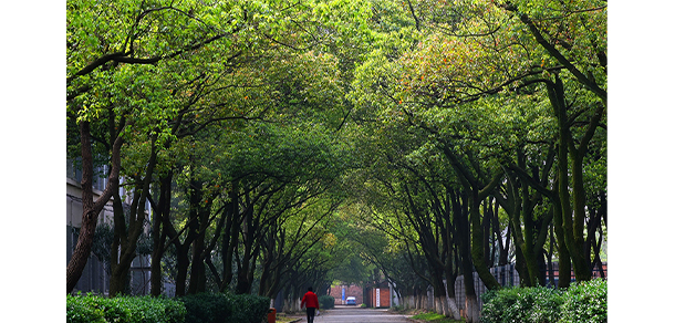 南昌航空大學(xué) - 最美大學(xué)