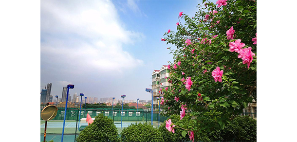 江西信息應用職業(yè)技術學院 - 最美大學