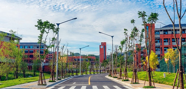 我的大學(xué)-大學(xué)志