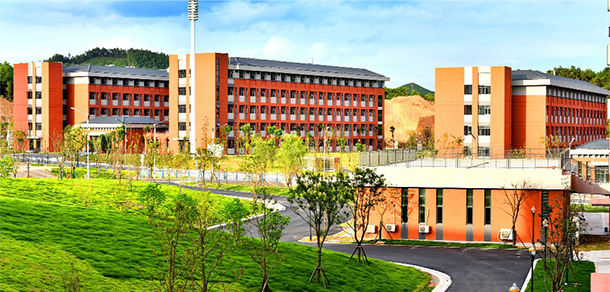 我的大學(xué)-大學(xué)志