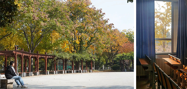 山東農(nóng)業(yè)大學 - 最美大學