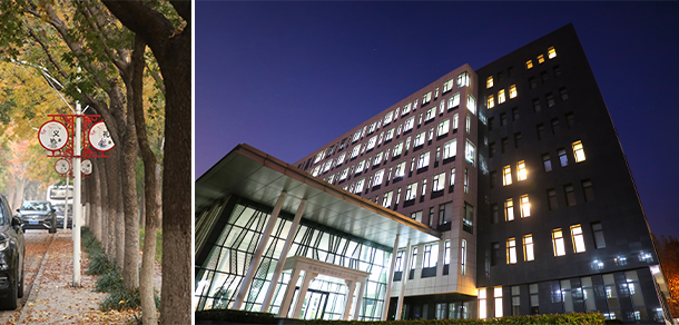 山東農(nóng)業(yè)大學 - 最美大學