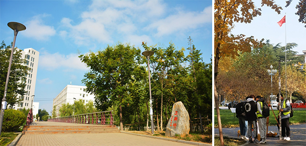 山東農(nóng)業(yè)大學 - 最美大學