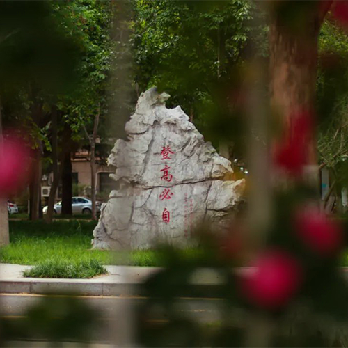 山東農(nóng)業(yè)大學(xué)-最美校園